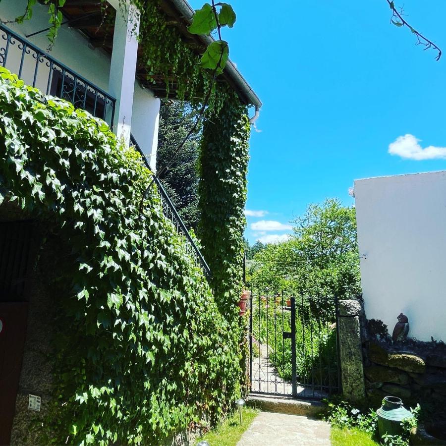 Casa Do Beco B&B Douro - Guest House Parambos Bagian luar foto